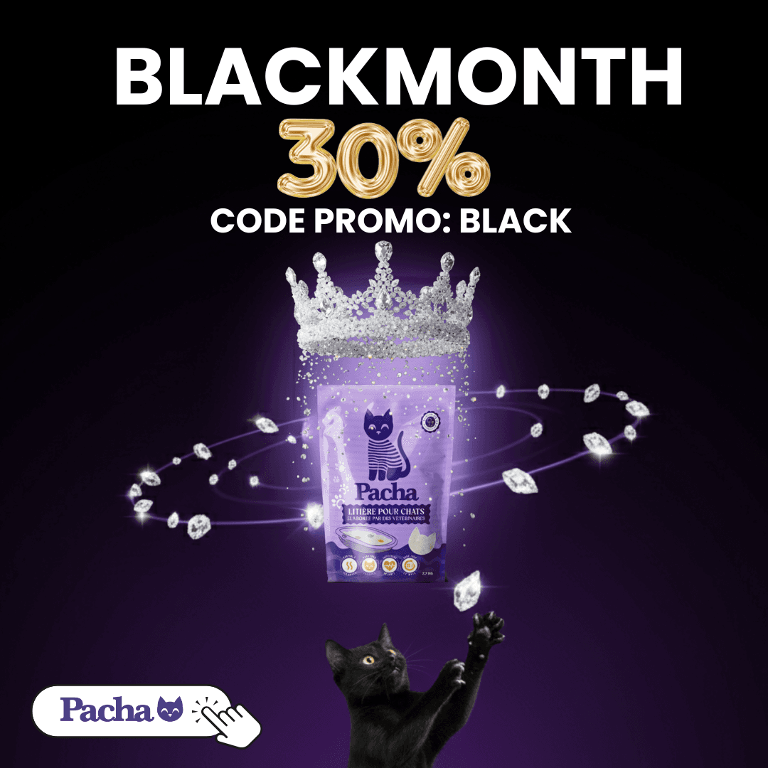 535 v10  1x1 A0-Broad (Discount) Img