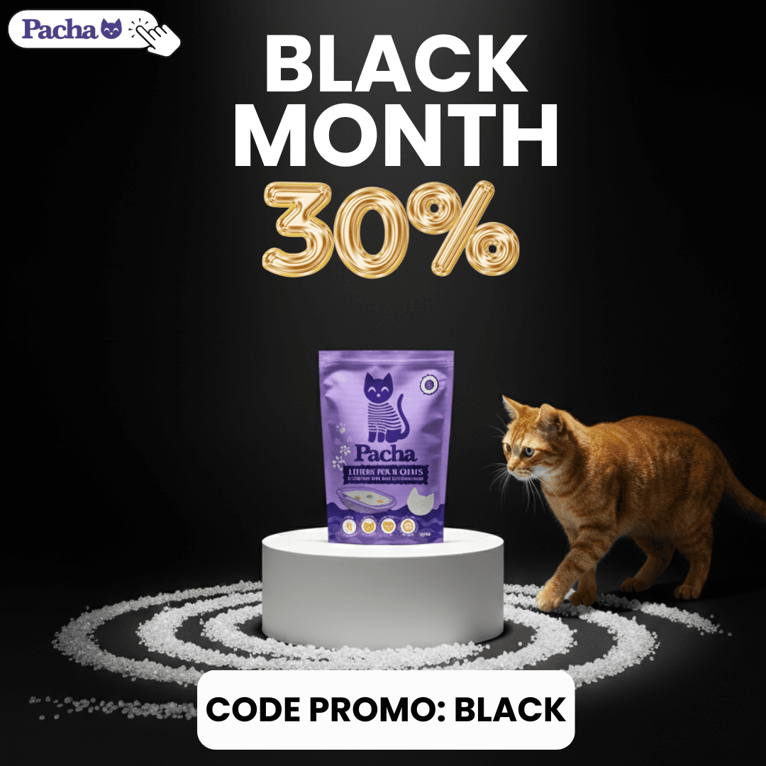 535 v7  1x1 A0-Broad (Discount) Img