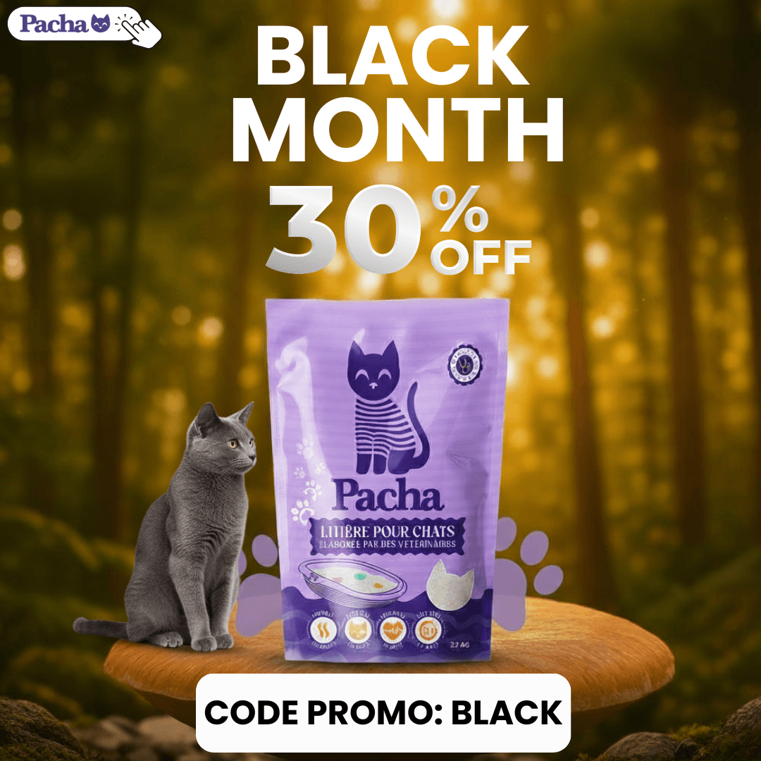 535 v8  1x1 A0-Broad (Discount) Img