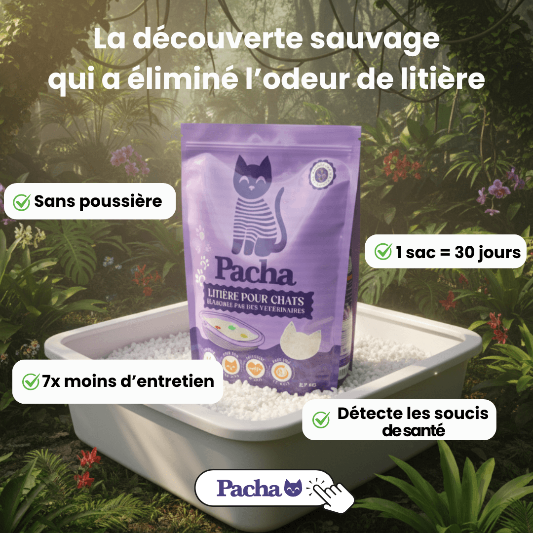 612 v1 A0-Broad (Odor) Img