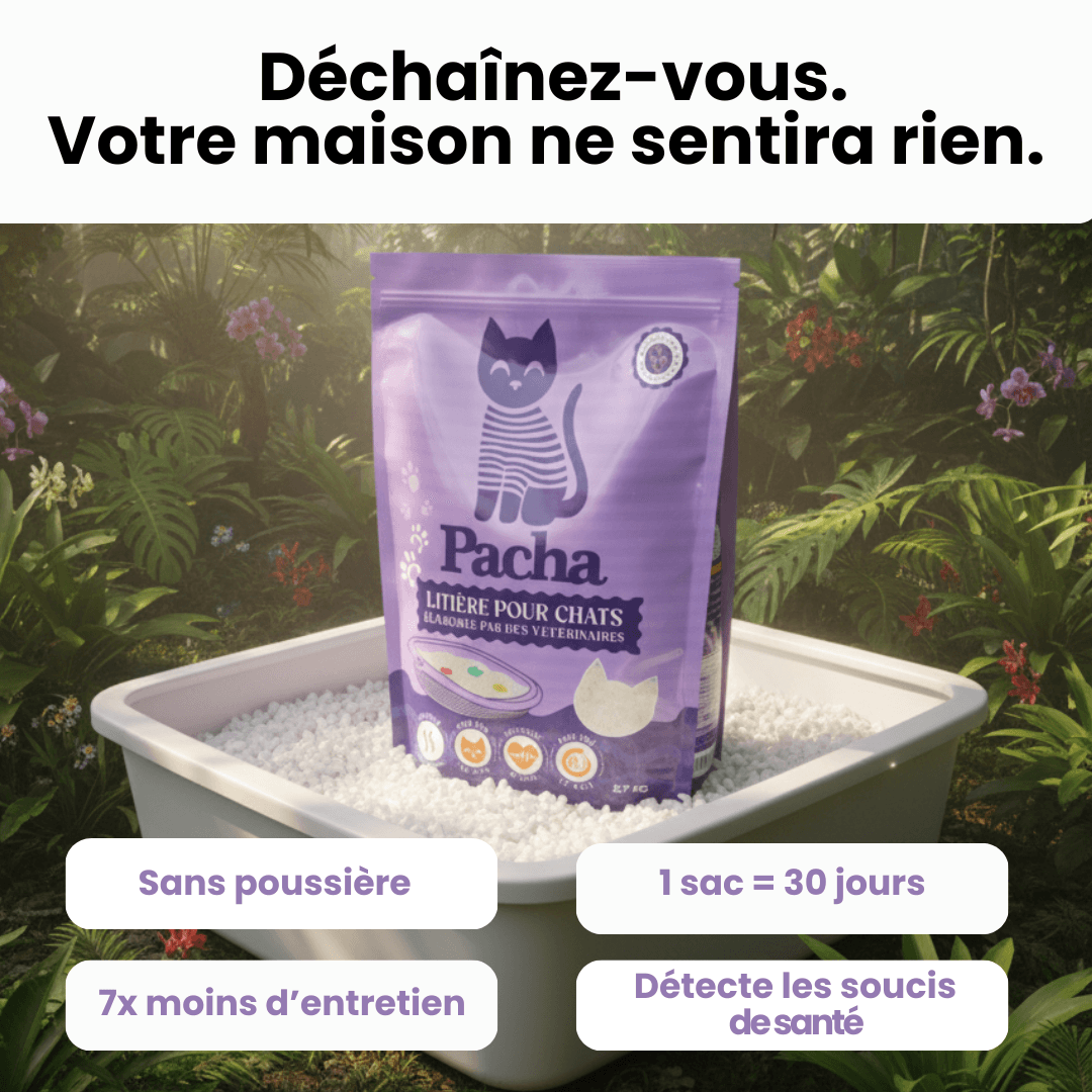 612 v3 A0-Broad (Odor) Img